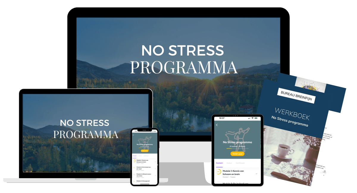 breinfijn no stress programma review